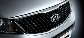 All-New Radiator Grille